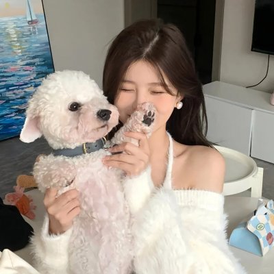 侦探的侦探
